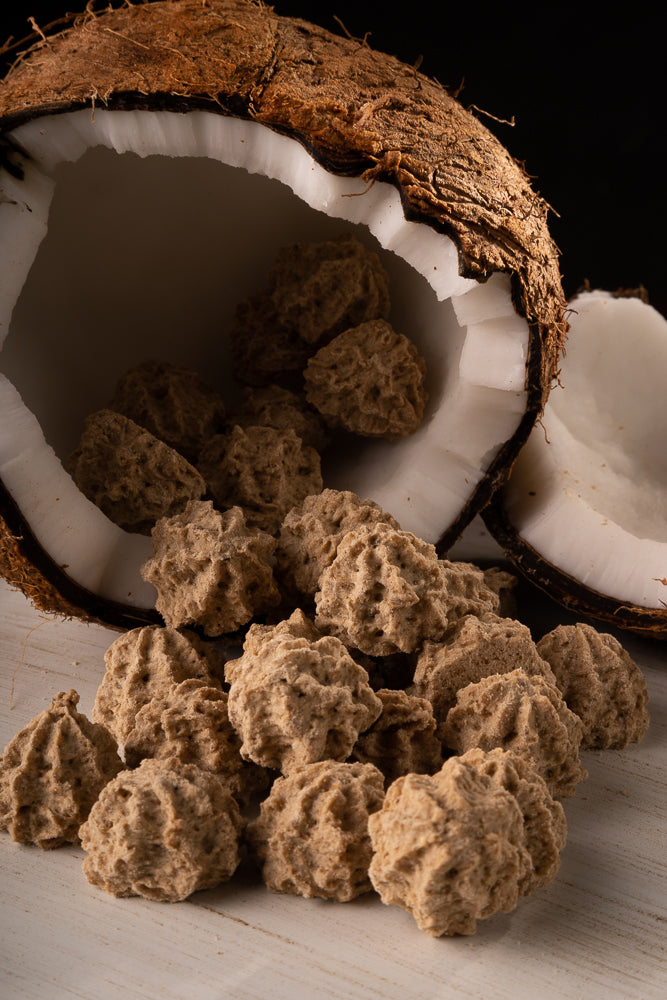 Sequilhos de Coco com Tâmaras